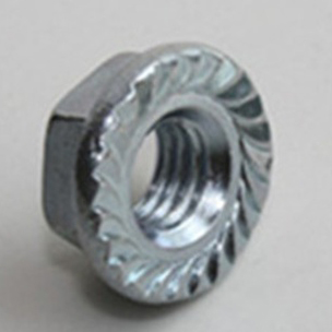 Duplex Hex Nut Flange Nut