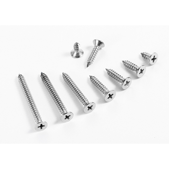 Self Tapping Screw